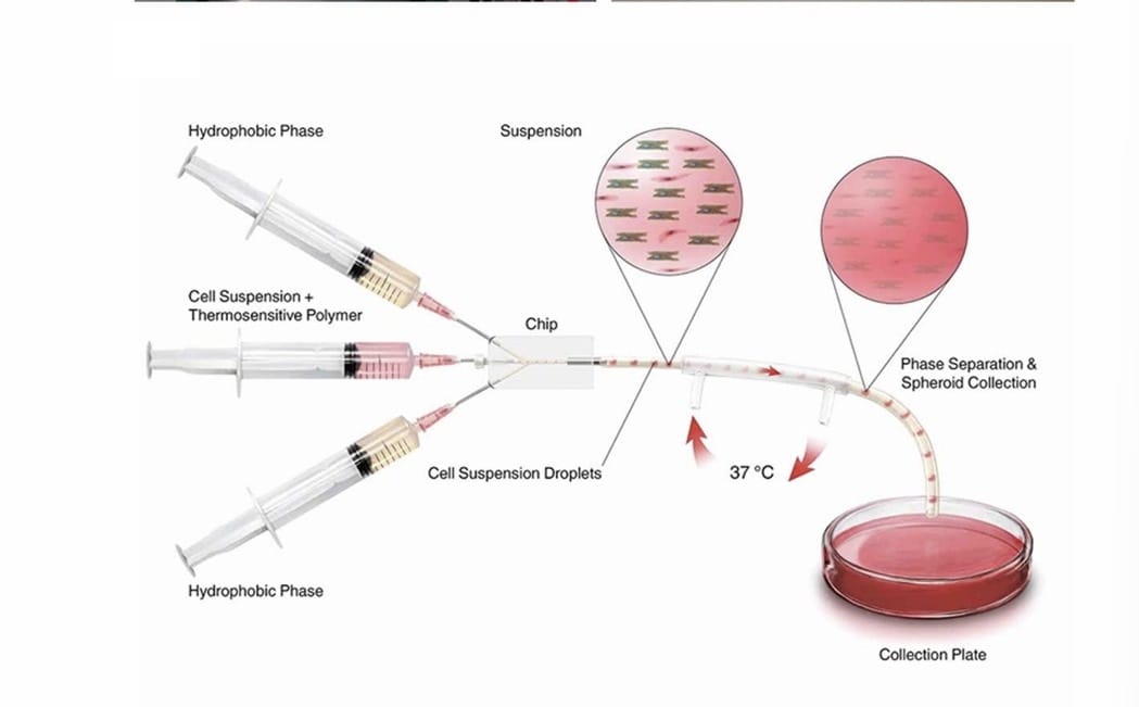 Microfluidic encapsulation schematic